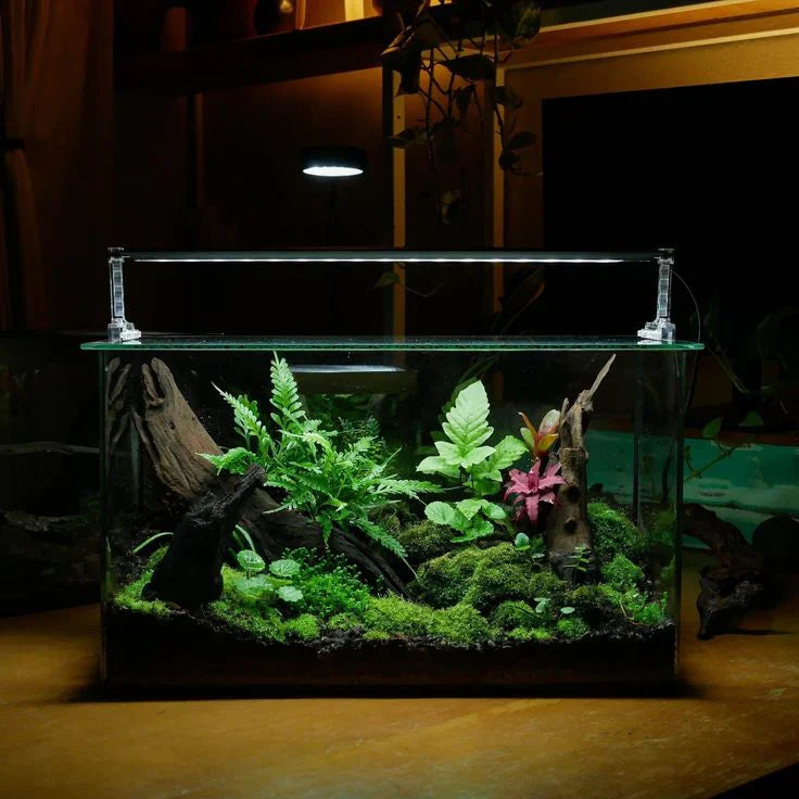Planted Aquarium Accessories