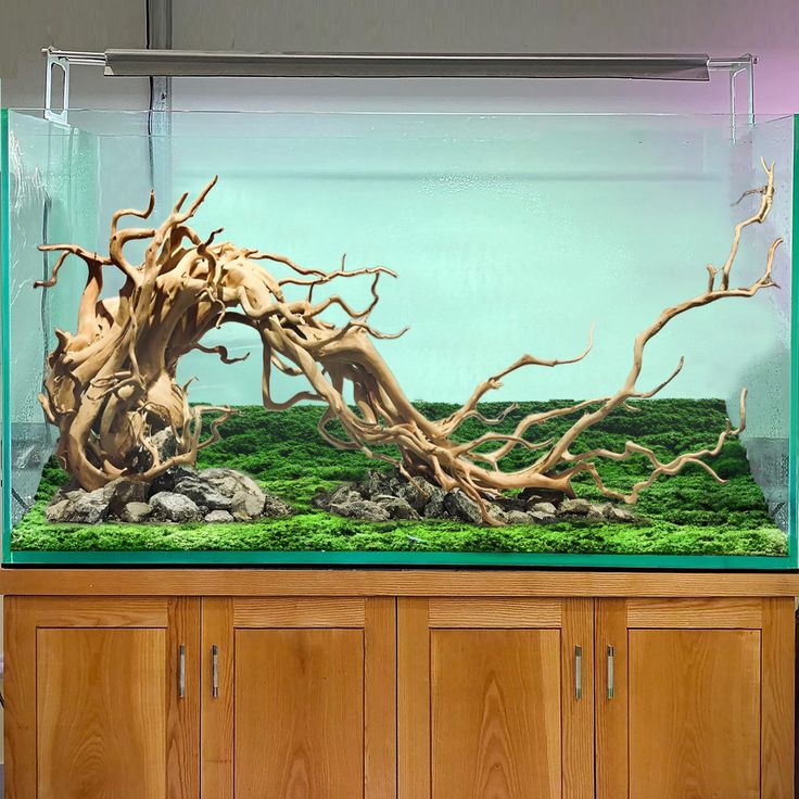 Driftwoods & Designs