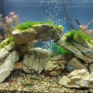 Scaping Rocks