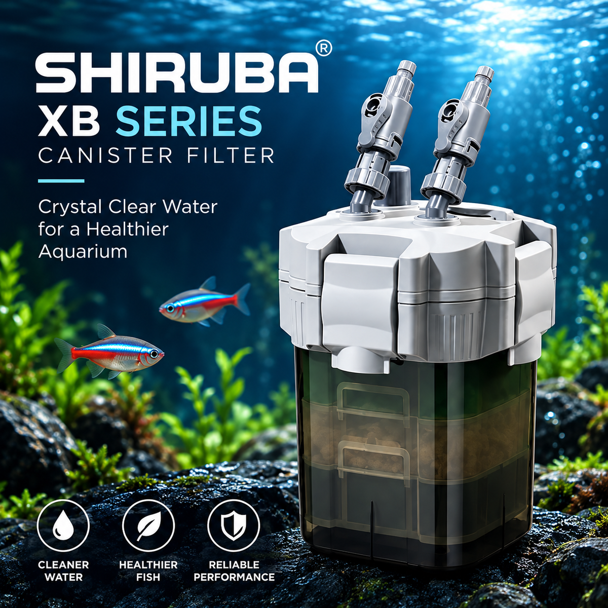 Shiruba