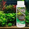 plant food