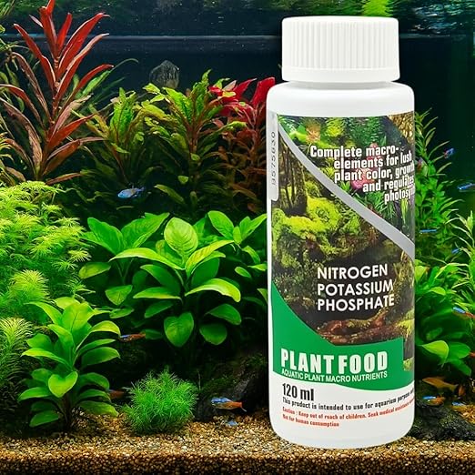 plant food