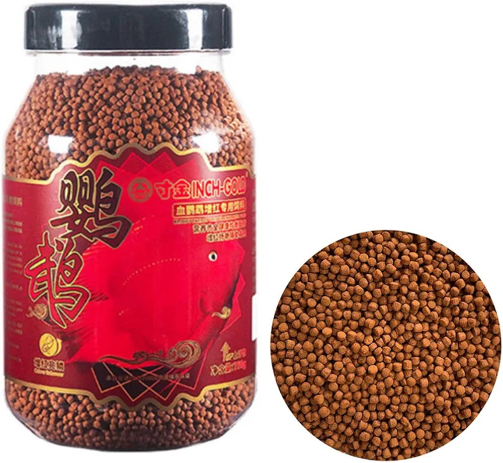 Inch Gold Red Parrot 180g