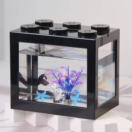 Nemo betta Tank
