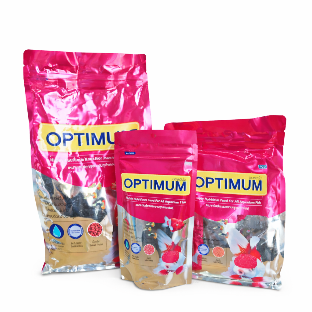 Optimum highly nutritious food for all aquarium fish