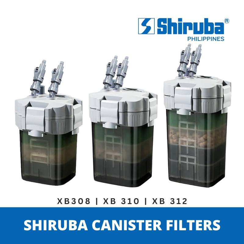 Shiruba