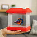 Liny betta tank