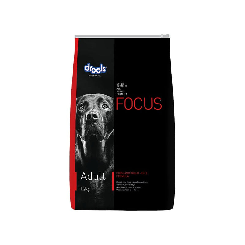 Drools Focus Adult