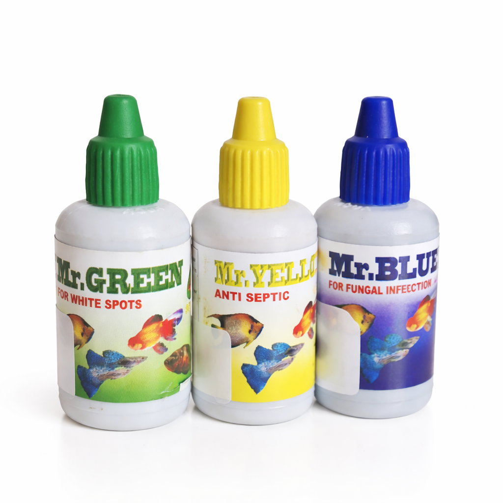 Mr.Green,Mr.Blue,Mr.White