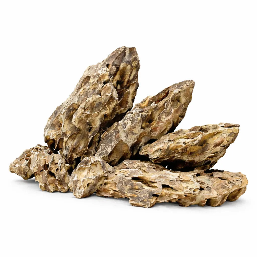 Perforted Dragon Rock 1kg