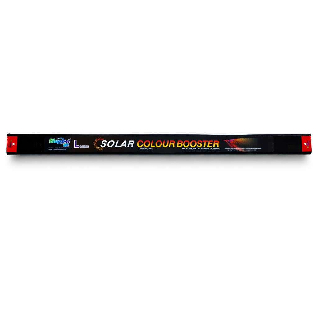 Bluepet Solar Color Booster Tanning Pro L series