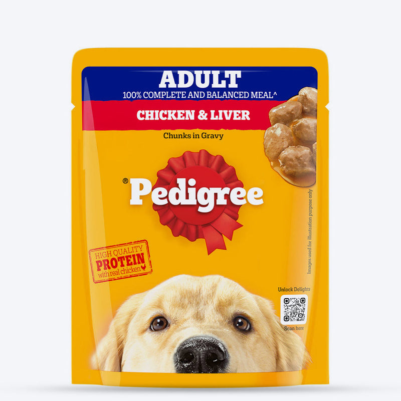 Pedigree Chicken & Liver Chunks In Gravy For Adult & Puppies All Breeds 70g